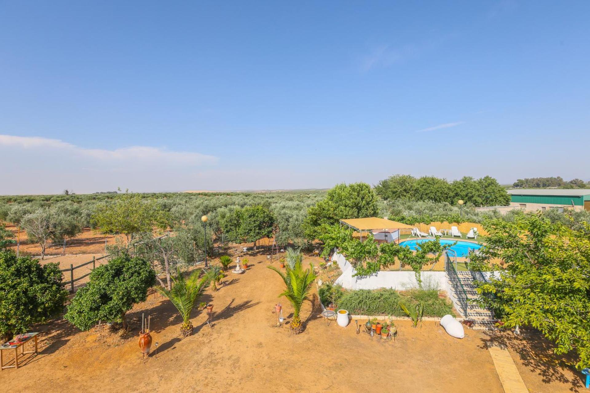 Casa Rural Los Miradores Marchena  Exterior foto